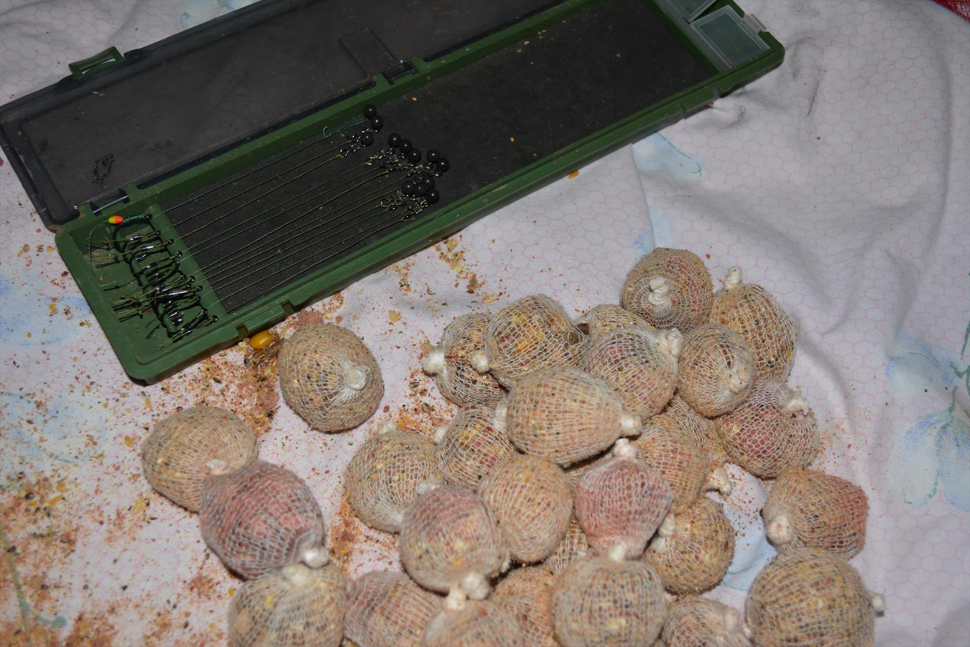 Pregatiri pentru concurs - dsc0059.JPG